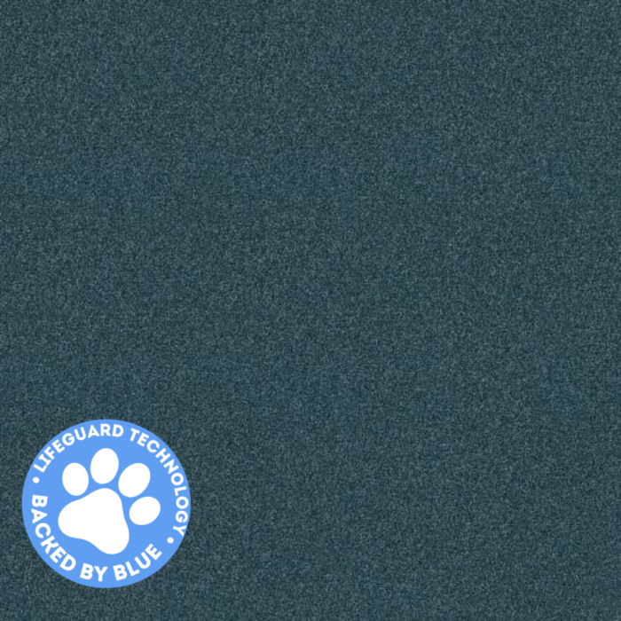 carpet_ floor_carpet floor_high quality_quality carpet