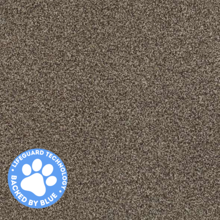 carpet_ floor_carpet floor_high quality_quality carpet