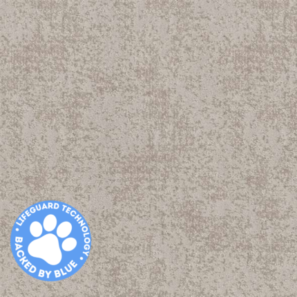 carpet_ floor_carpet floor_high quality_quality carpet