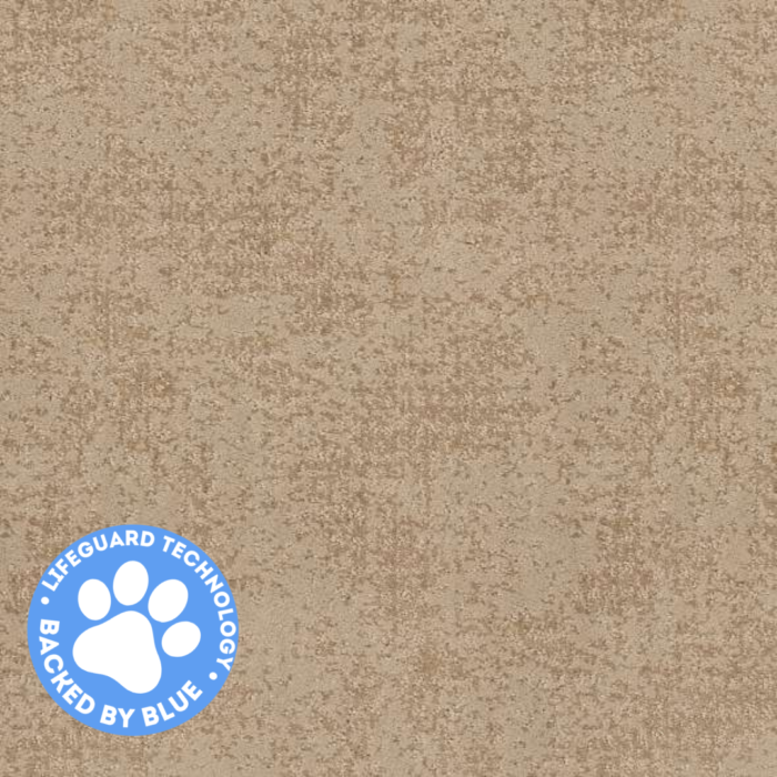 carpet_ floor_carpet floor_high quality_quality carpet