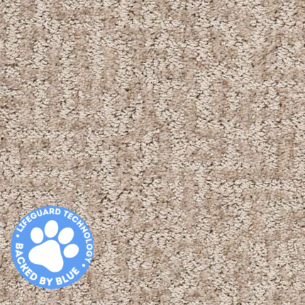 living room carpet-bedroom carpet- room carpet-home carpet-carpet-high quality carpet