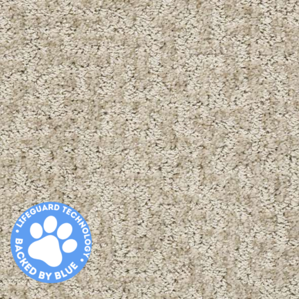 living room carpet-bedroom carpet- room carpet-home carpet-carpet-high quality carpet