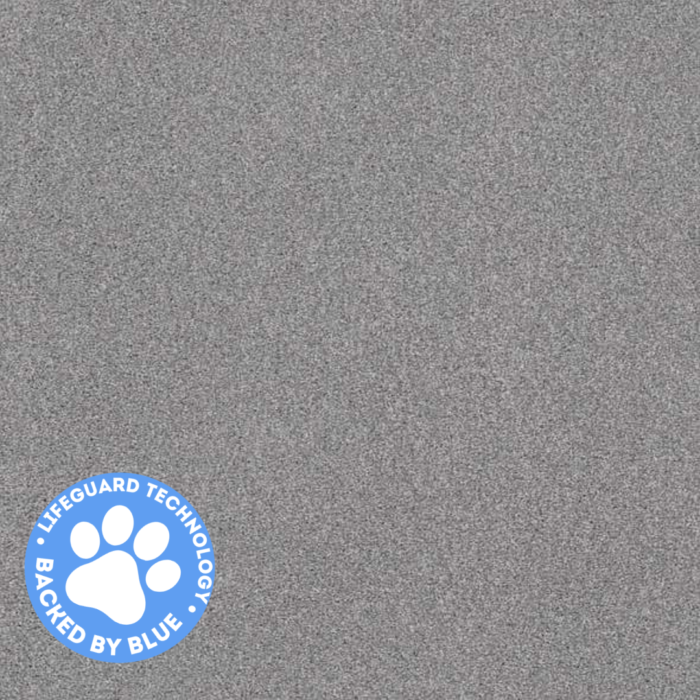carpet - carpet flooring - high quality flooring - living room carpet - bedroom carpet - kitchen carpet