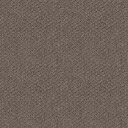 carpet - carpet flooring - haigh quality flooring - living room carpet - bedroom carpet - kitchen carpet